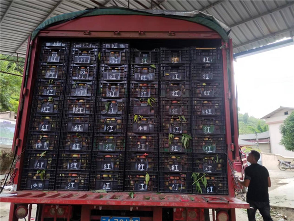 1660197179144330.png 圖片2_副本.png