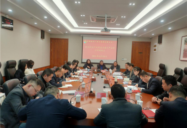 貴州陽光產(chǎn)權(quán)召開黨委（擴大）會分析研判2021年全面從嚴(yán)治黨工作