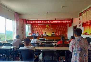 種樹能致富  綠水青山真成了金山銀山——單株碳匯項目在米坪鄉(xiāng)云灣村落實落地