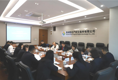 貴州省地方金融監(jiān)管局、貴州證監(jiān)局、貴陽市金融辦到貴州陽光產(chǎn)權(quán)交易所、貴州環(huán)交所開展權(quán)益類交易場所調(diào)研