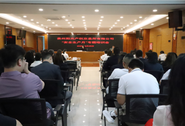 貴州陽光產(chǎn)權交易所有限公司舉辦2023年“安全生產(chǎn)月”專題培訓