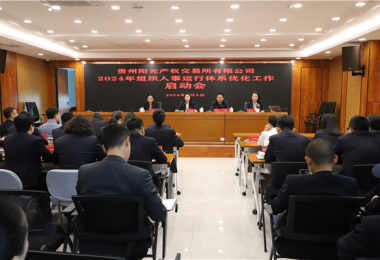 貴州陽光產(chǎn)權(quán)交易所有限公司召開組織人事運(yùn)行體系優(yōu)化啟動會