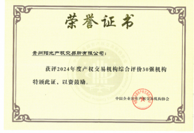 喜訊！貴州陽(yáng)光產(chǎn)權(quán)交易所獲得2024年度全國(guó)產(chǎn)權(quán)交易機(jī)構(gòu)2項(xiàng)30強(qiáng)榮譽(yù)