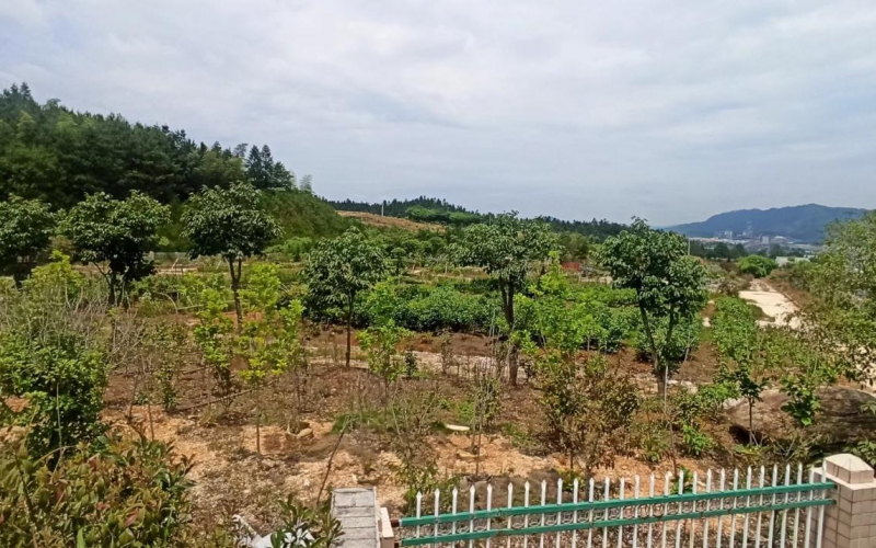 敦寨收費站旁土地處置