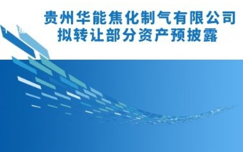 貴州華能焦化制氣有限公司擬轉(zhuǎn)讓部分資產(chǎn)預披露