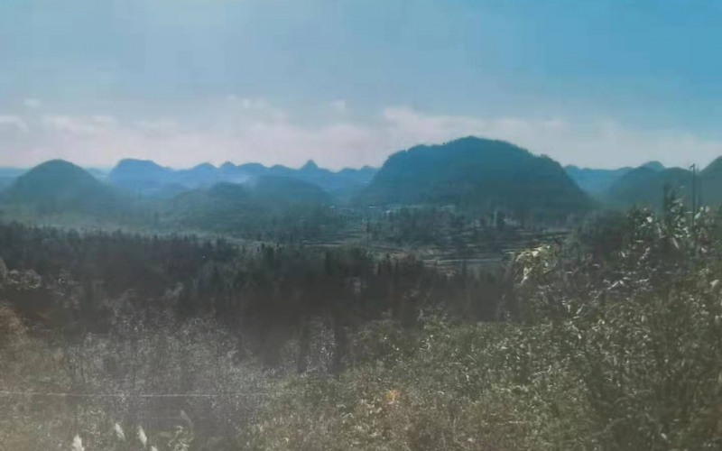 （項目推介）貴州一大型國有企業(yè)集團(tuán)擬整體產(chǎn)權(quán)轉(zhuǎn)讓旗下兩個煤礦公司100%股權(quán)（含兩個優(yōu)質(zhì)煤礦資產(chǎn)）